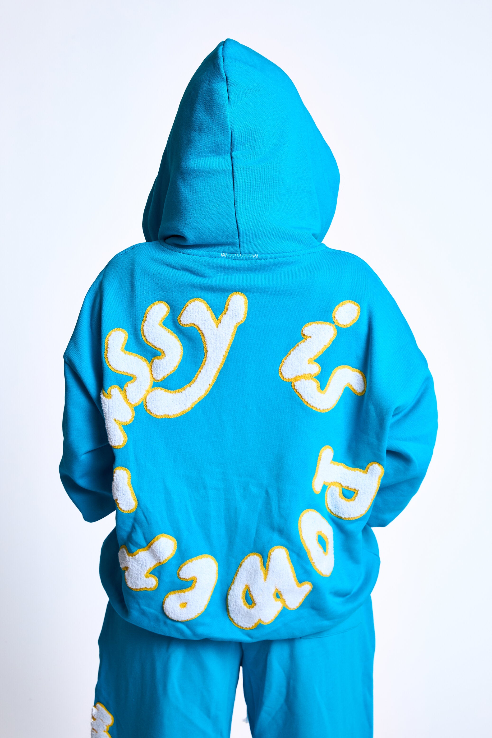 Pussy is Power Hoodie